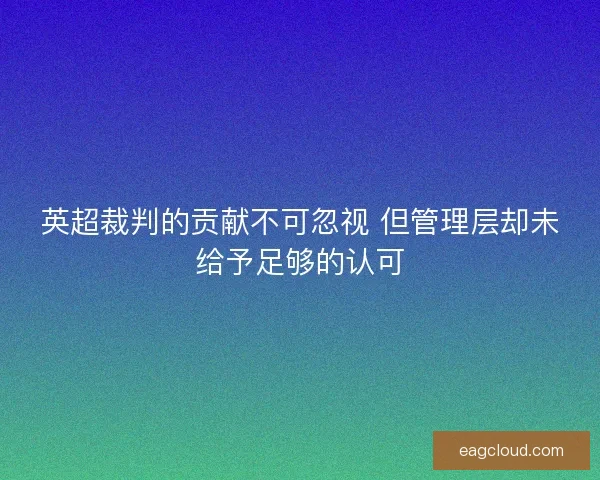 英超裁判的贡献不可忽视 但管理层却未给予足够的认可