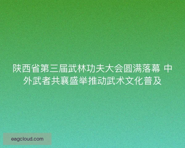 陕西省第三届武林功夫大会圆满落幕 中外武者共襄盛举推动武术文化普及